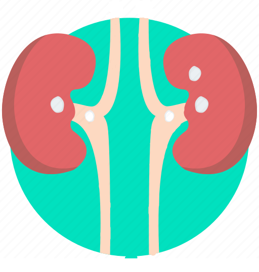 Kidney Stone