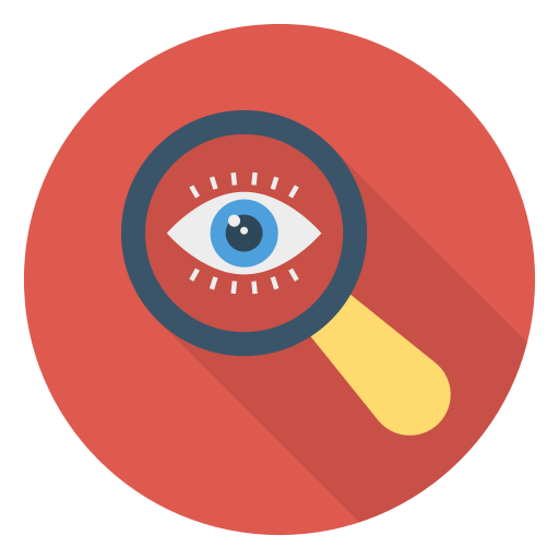 Eye and Vision